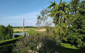 Agricesar